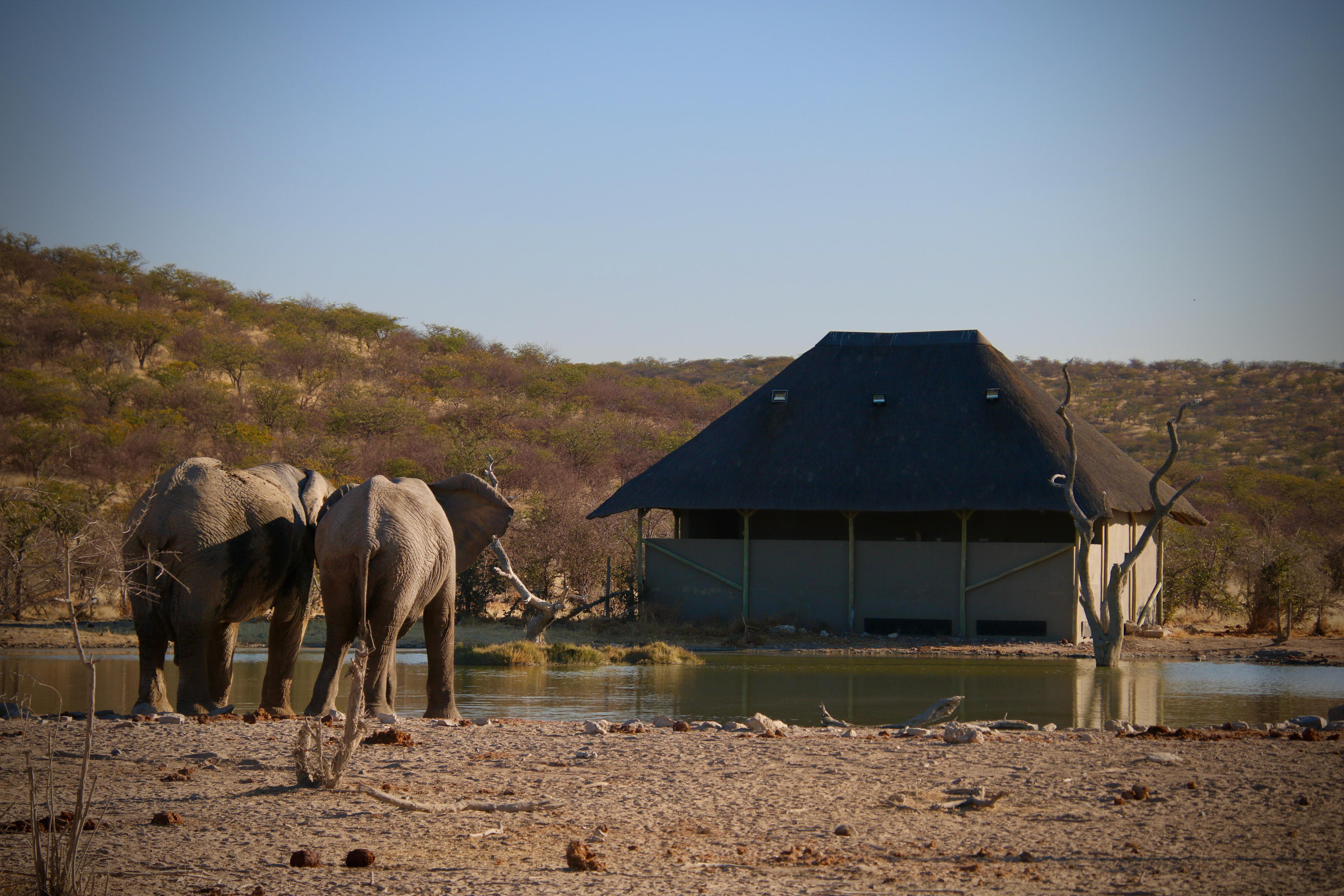 Safarihoek Lodge thumbnail 10